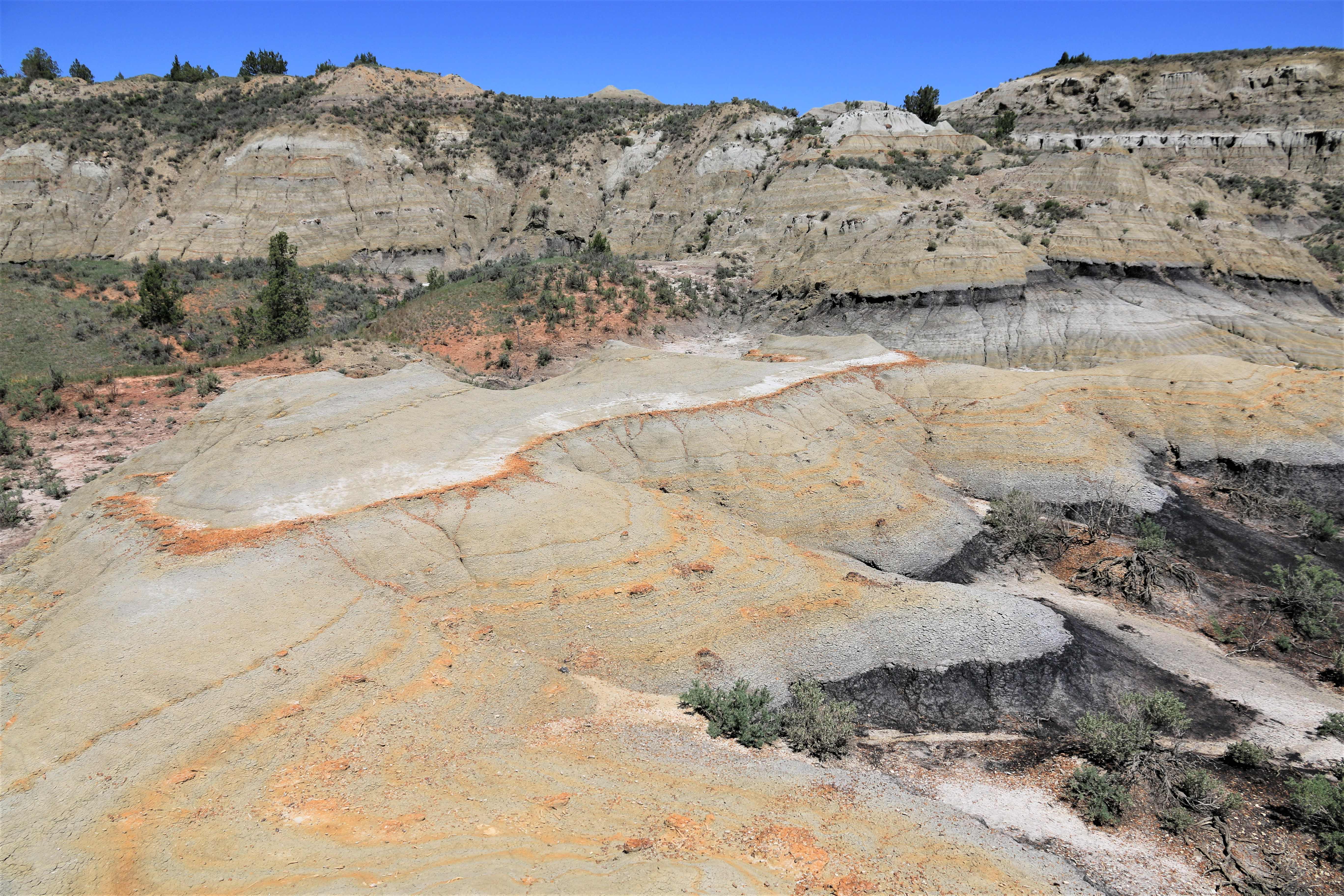 Theodore Roosevelt NP